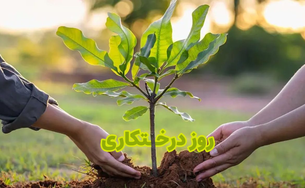 روز-درختکاری