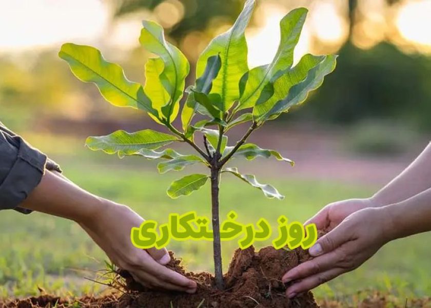 روز-درختکاری