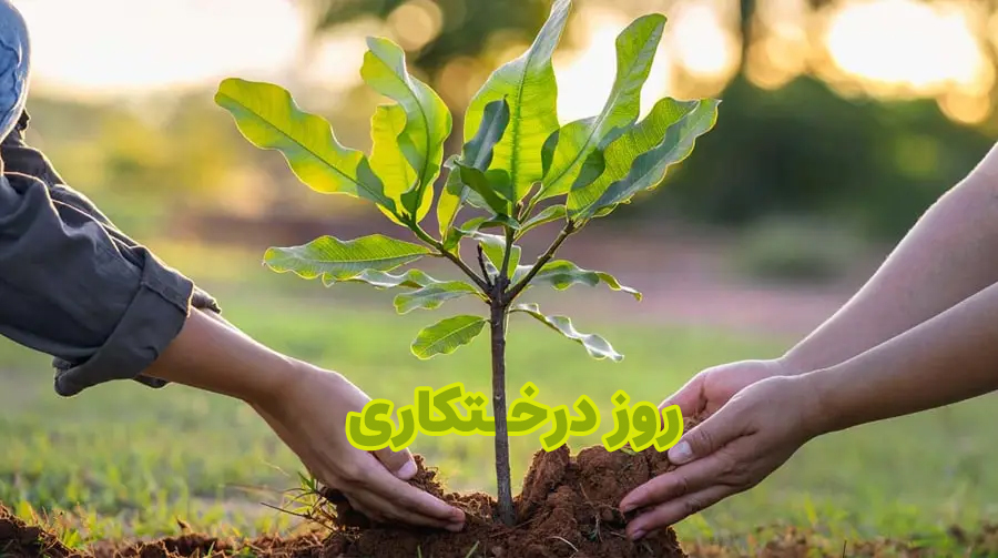 روز-درختکاری